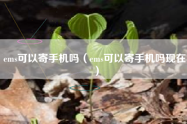 ems可以寄手机吗（ems可以寄手机吗现在）