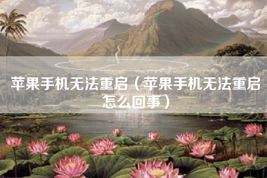 苹果手机无法重启（苹果手机无法重启怎么回事）