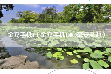 金立手机1（金立手机10000毫安电池）