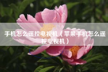手机怎么遥控电视机（苹果手机怎么遥控电视机）