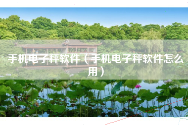 手机电子秤软件（手机电子秤软件怎么用）