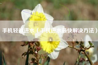 手机轻微进水（手机进水最快解决方法）