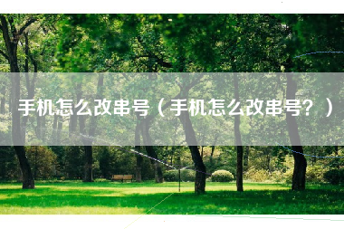 手机怎么改串号（手机怎么改串号？）