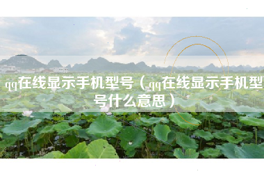 qq在线显示手机型号（qq在线显示手机型号什么意思）