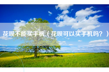 花呗不能买手机（花呗可以买手机吗？）