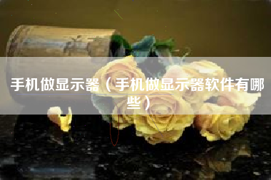 手机做显示器（手机做显示器软件有哪些）