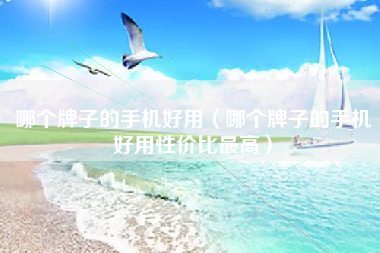 哪个牌子的手机好用（哪个牌子的手机好用性价比最高）