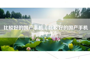 比较好的国产手机（比较好的国产手机牌子）