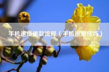 手机退货退款流程（手机退货技巧）