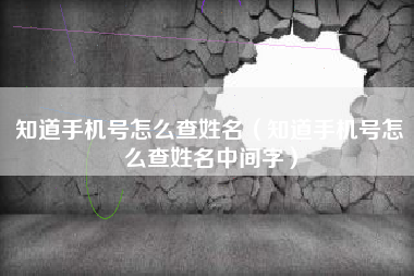 知道手机号怎么查姓名（知道手机号怎么查姓名中间字）