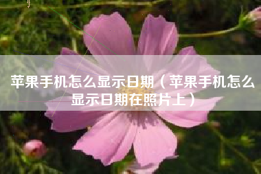 苹果手机怎么显示日期（苹果手机怎么显示日期在照片上）