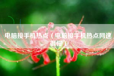 电脑接手机热点（电脑接手机热点网速很慢）