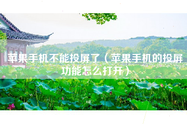 苹果手机不能投屏了（苹果手机的投屏功能怎么打开）