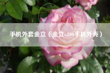 手机外套金立（金立w800手机外壳）