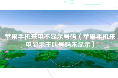 苹果手机来电不显示号码（苹果手机来电显示主叫号码未显示）