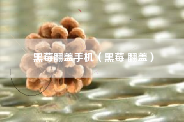 黑莓翻盖手机（黑莓 翻盖）