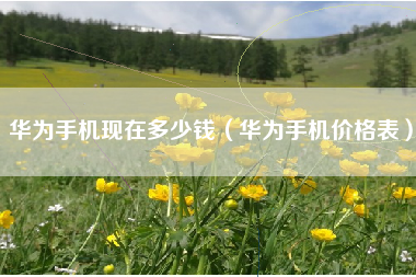 华为手机现在多少钱（华为手机价格表）
