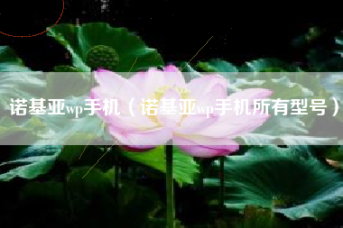 诺基亚wp手机（诺基亚wp手机所有型号）
