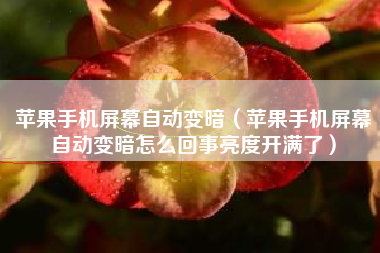 苹果手机屏幕自动变暗（苹果手机屏幕自动变暗怎么回事亮度开满了）