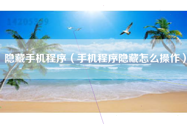 隐藏手机程序（手机程序隐藏怎么操作）