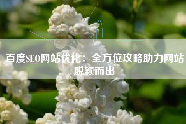 百度SEO网站优化：全方位攻略助力网站脱颖而出