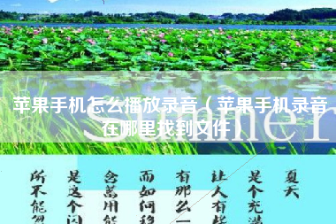 苹果手机怎么播放录音（苹果手机录音在哪里找到文件）