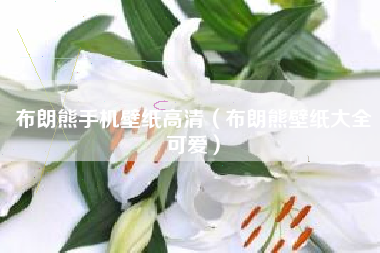 布朗熊手机壁纸高清（布朗熊壁纸大全可爱）