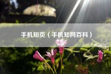 手机知页（手机知网百科）