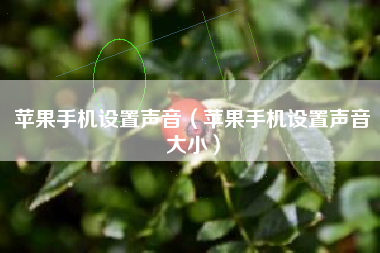 苹果手机设置声音（苹果手机设置声音大小）