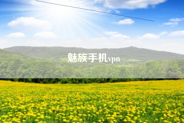 魅族手机vpn