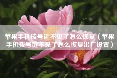 苹果手机拨号键不见了怎么恢复（苹果手机拨号键不见了怎么恢复出厂设置）