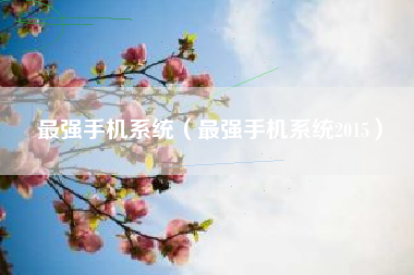 最强手机系统（最强手机系统2015）