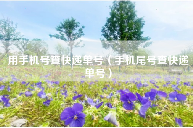 用手机号查快递单号（手机尾号查快递单号）