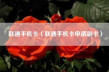 联通手机卡（联通手机卡申请副卡）