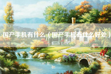 国产手机有什么（国产手机有什么好处）