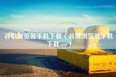 谷歌浏览器手机下载（谷歌浏览器手机下载app）