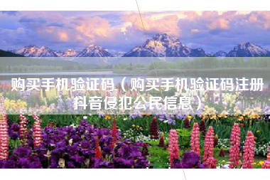 购买手机验证码（购买手机验证码注册抖音侵犯公民信息）