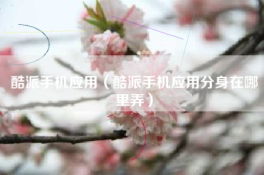 酷派手机应用（酷派手机应用分身在哪里弄）