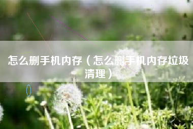 怎么删手机内存（怎么删手机内存垃圾清理）