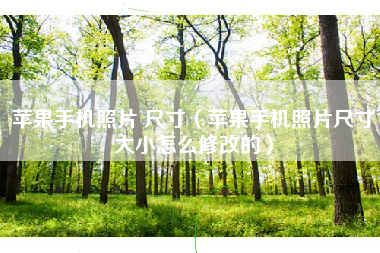 苹果手机照片 尺寸（苹果手机照片尺寸大小怎么修改的）