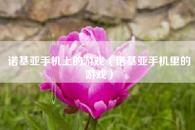 诺基亚手机上的游戏（诺基亚手机里的游戏）
