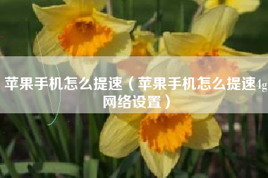 苹果手机怎么提速（苹果手机怎么提速4g网络设置）