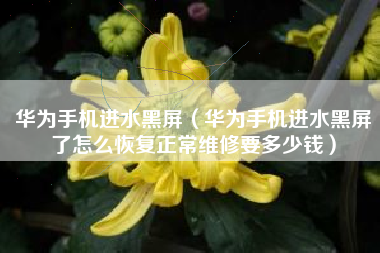 华为手机进水黑屏（华为手机进水黑屏了怎么恢复正常维修要多少钱）