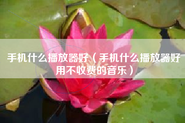 手机什么播放器好（手机什么播放器好用不收费的音乐）