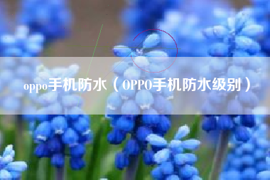 oppo手机防水（OPPO手机防水级别）