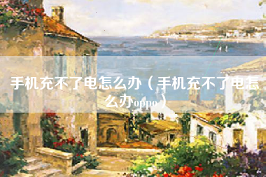 手机充不了电怎么办（手机充不了电怎么办oppo）