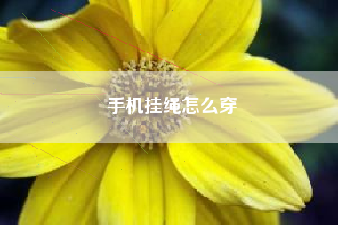 手机挂绳怎么穿