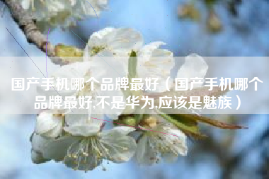 国产手机哪个品牌最好（国产手机哪个品牌最好,不是华为,应该是魅族）