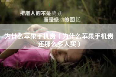为什么苹果手机贵（为什么苹果手机贵还那么多人买）