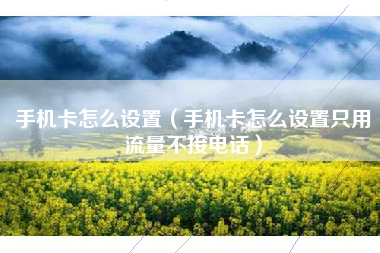 手机卡怎么设置（手机卡怎么设置只用流量不接电话）